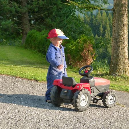 Ferienwohnungen Bachergut Mariapfarr Szoba fotó