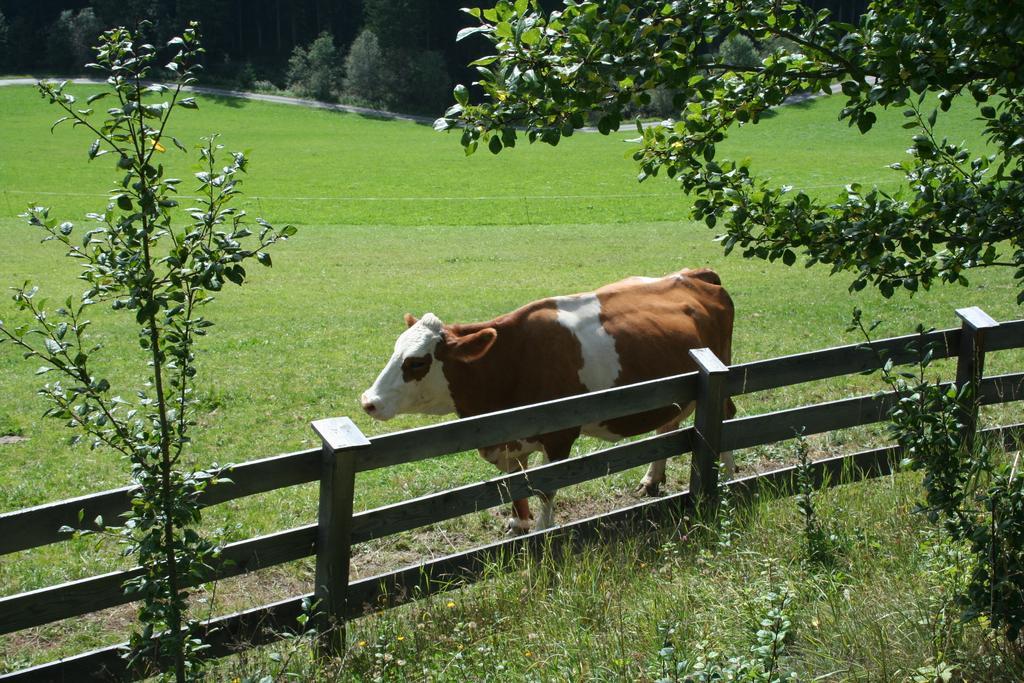 Ferienwohnungen Bachergut Mariapfarr Szoba fotó